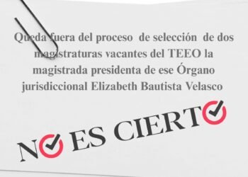 Falso que la actual presidenta del Tribunal Electoral esté fuera del proceso de selección de magistraturas vacantes
