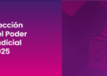 Elecciones Judiciales